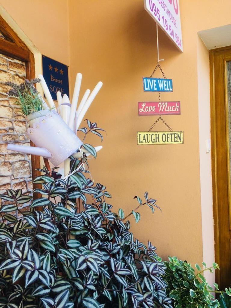 Guesthouse Coco 슬라본스키브로드 외부 사진