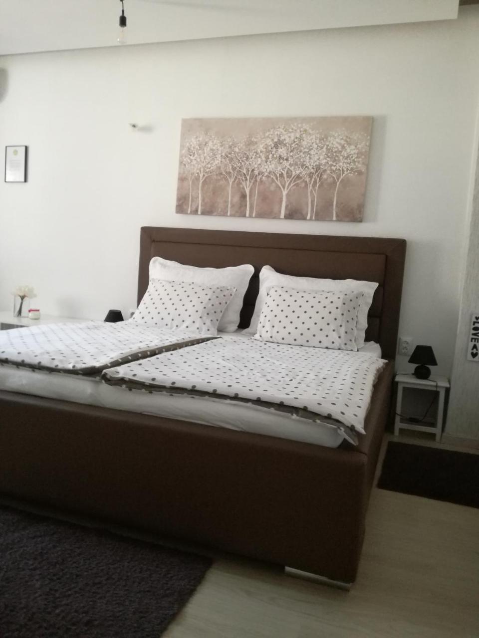 Guesthouse Coco 슬라본스키브로드 외부 사진